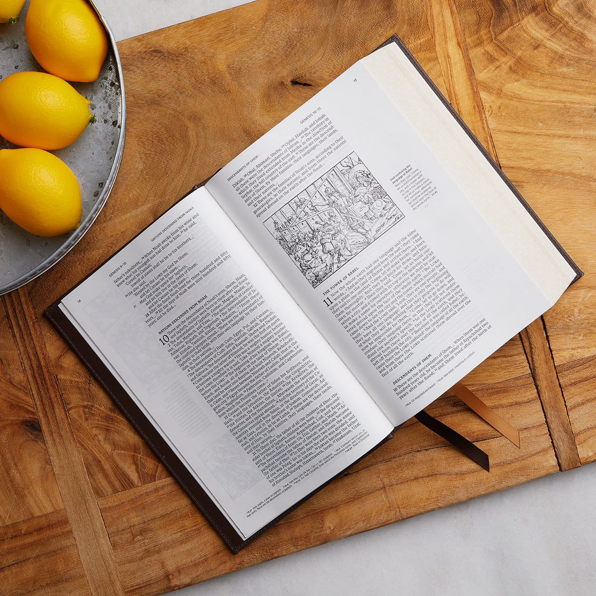 NRSVCE, Illustrated Catholic Bible, Comfort Print: Holy Bible