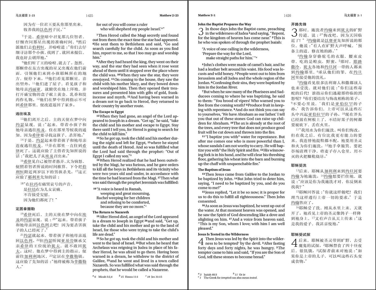 CCB (Simplified Script), NIV, Chinese/English Bilingual Bible