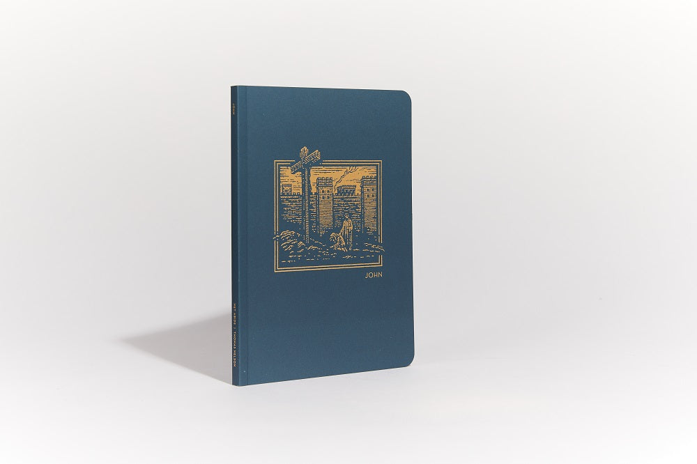 NET Abide Bible Journal - John, Paperback, Comfort Print: Holy Bible