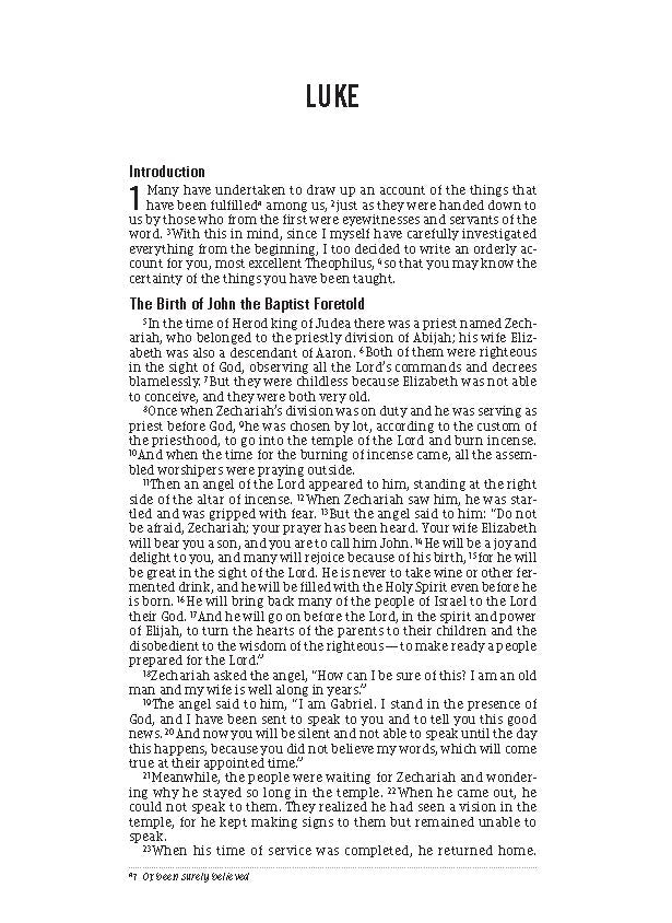 The Jesus Bible Journal, Luke, NIV, Paperback, Comfort Print