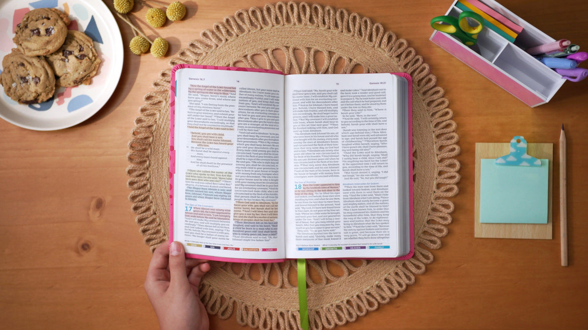 NKJV, Color Code Bible for Kids, Comfort Print