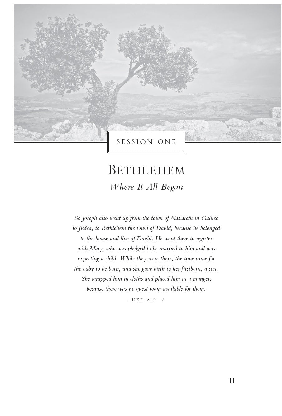 The Rock, the Road, and the Rabbi Bible Study Guide plus Streaming Video, Updated Edition: Come to the Land Where It All Began
