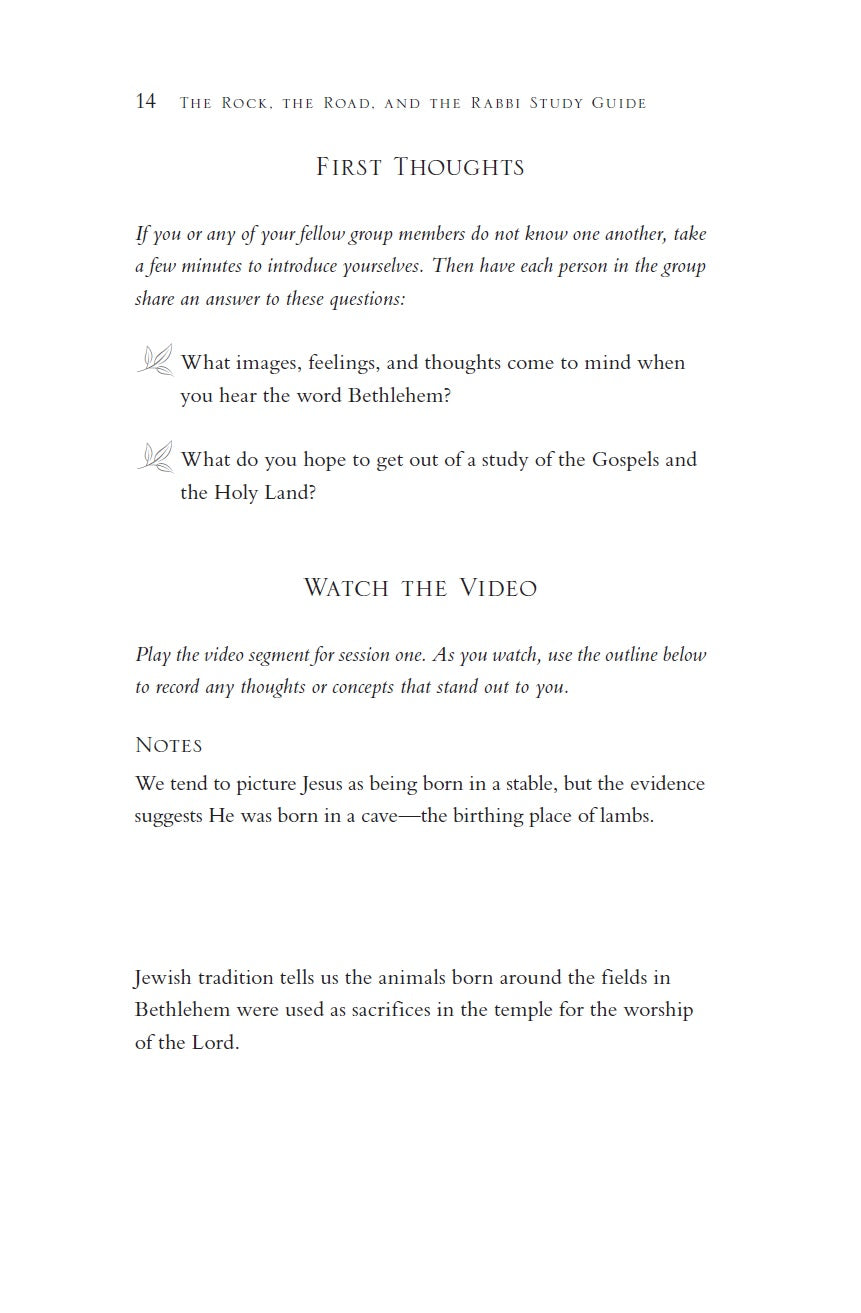 The Rock, the Road, and the Rabbi: My Journey into the Heart of Scriptural Faith and the Land Where It All Began
