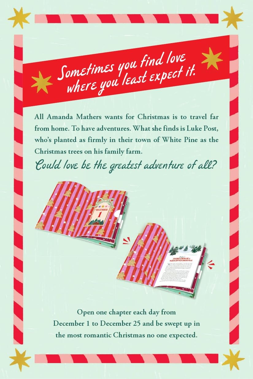The Secret Santa Setup: Count Down to Christmas with 25 Sealed Chapters