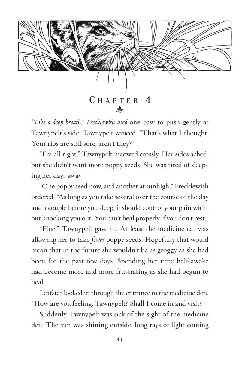 Warriors: Changing Skies #2: Hidden Moon