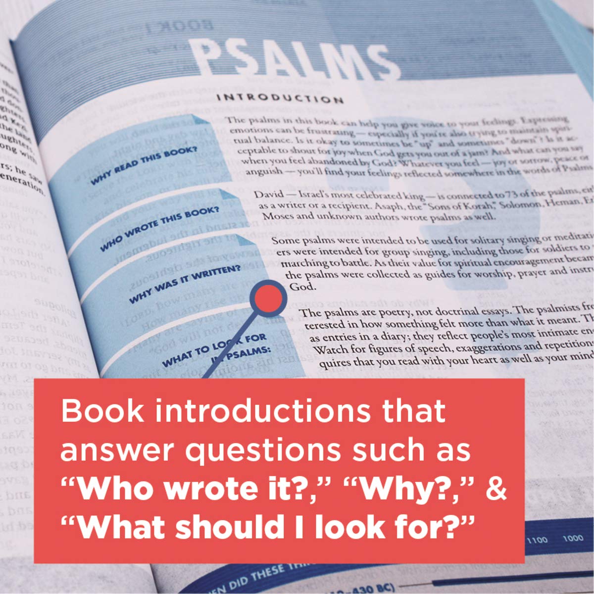NIV, Quest Study Bible, Comfort Print: The Only Q and A Study Bible
