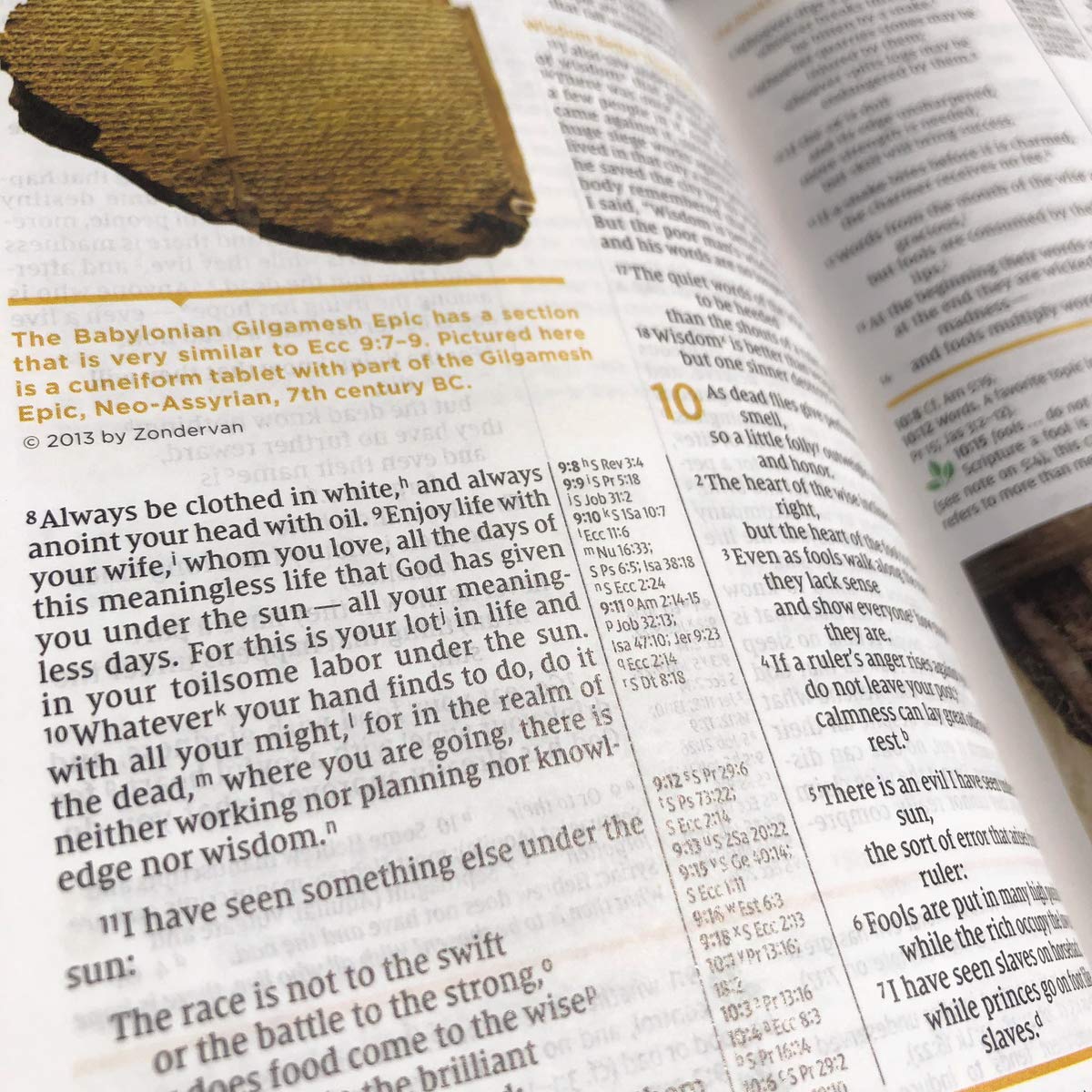 NIV Study Bible, Fully Revised Edition, Red Letter, Comfort Print