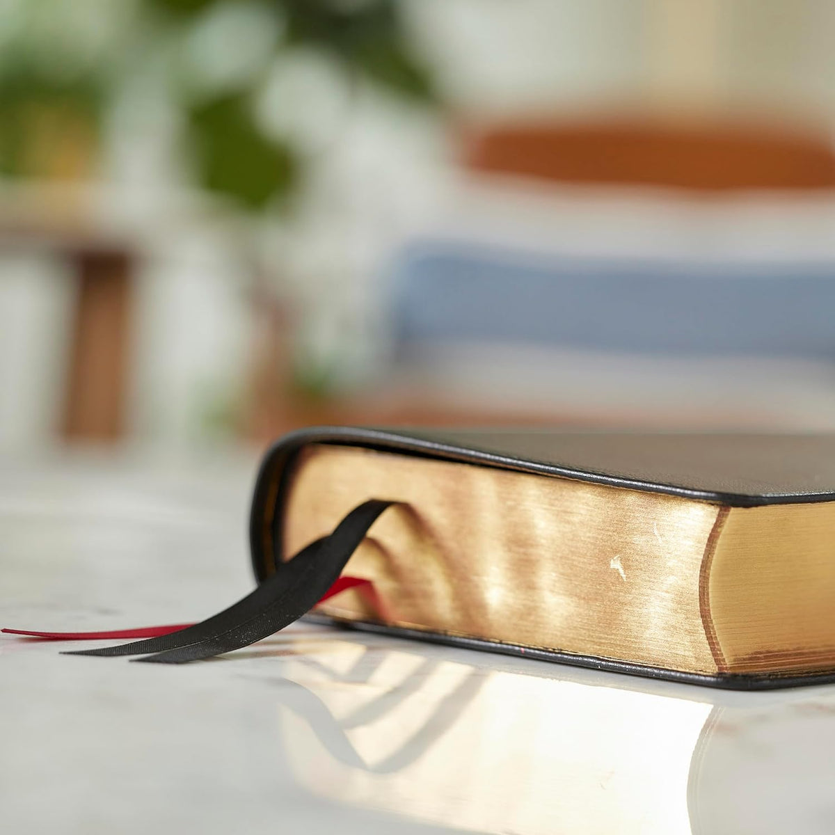 NKJV, Single-Column Reference Bible, Verse-by-verse, Comfort Print