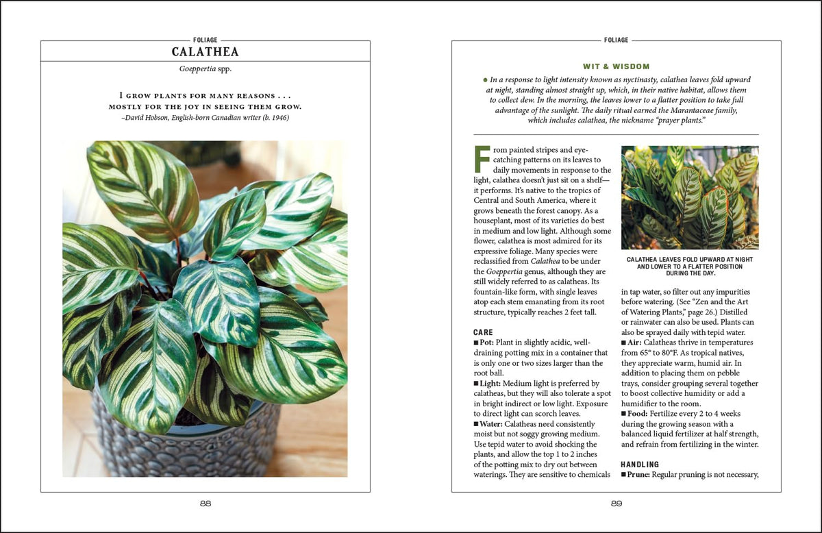 The Old Farmer’s Almanac Houseplant Gardener’s Handbook