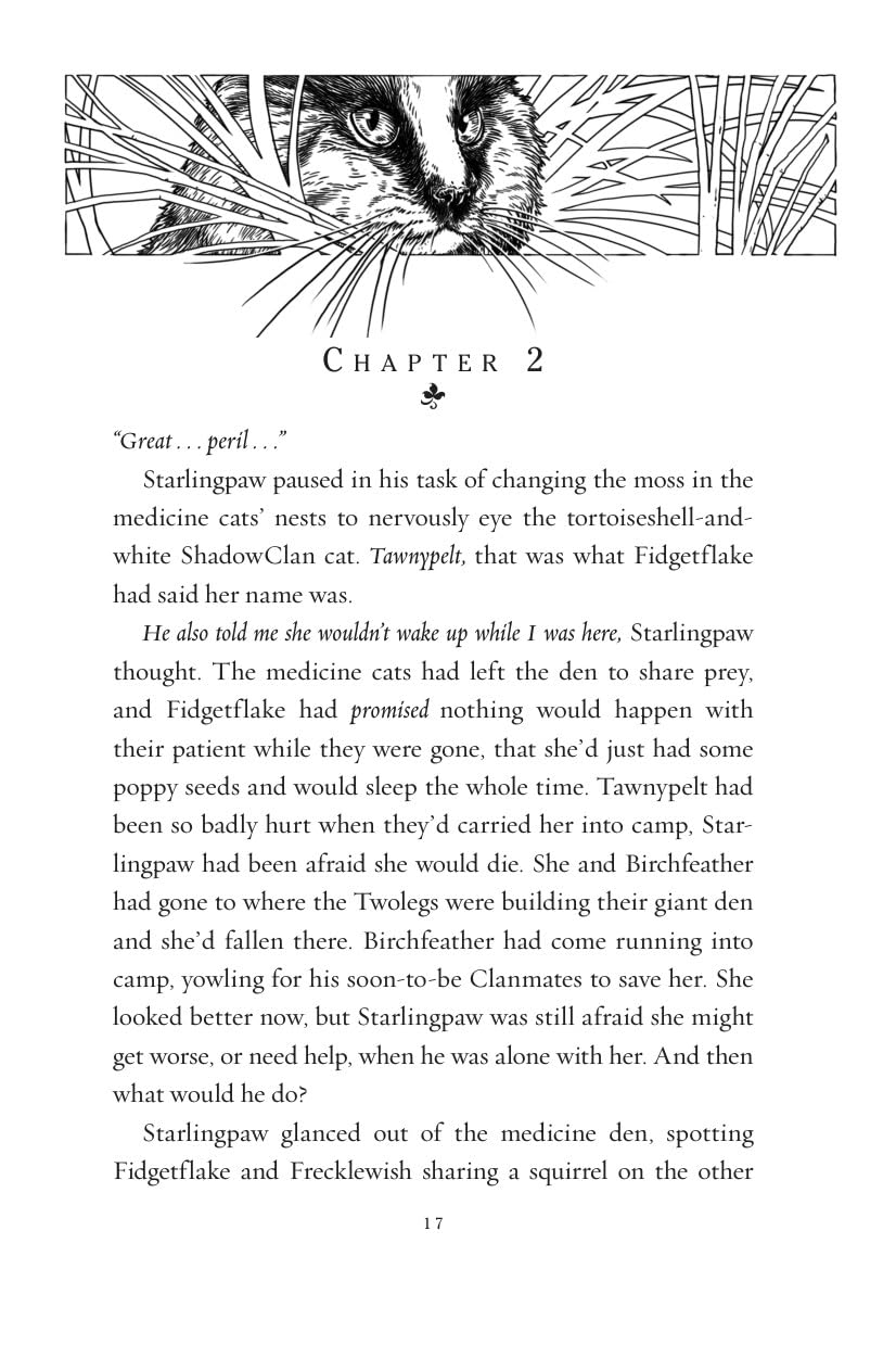 Warriors: Changing Skies #2: Hidden Moon
