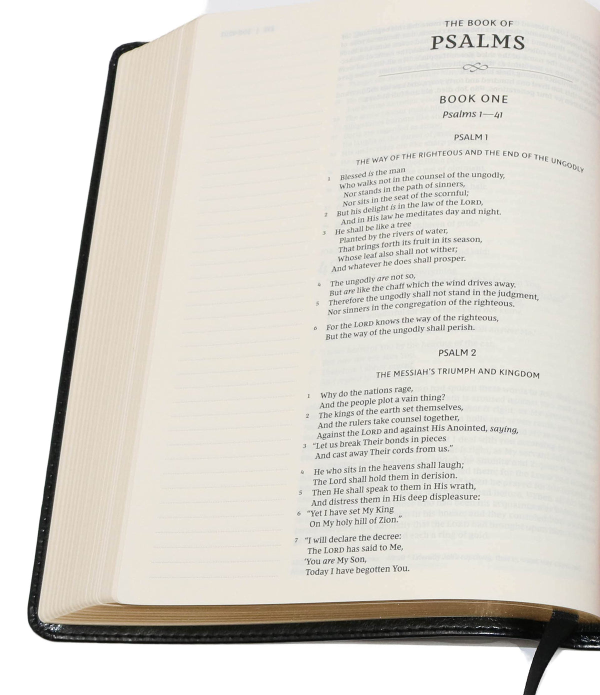 KJV, Journal the Word Bible, Large Print, Red Letter Edition Study Bible