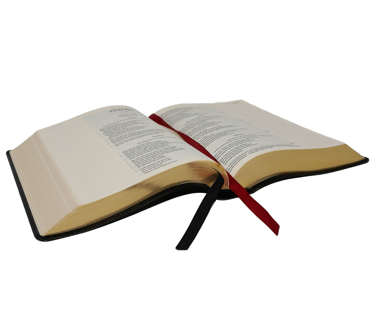 KJV, Journal the Word Bible, Red Letter Edition, Comfort Print