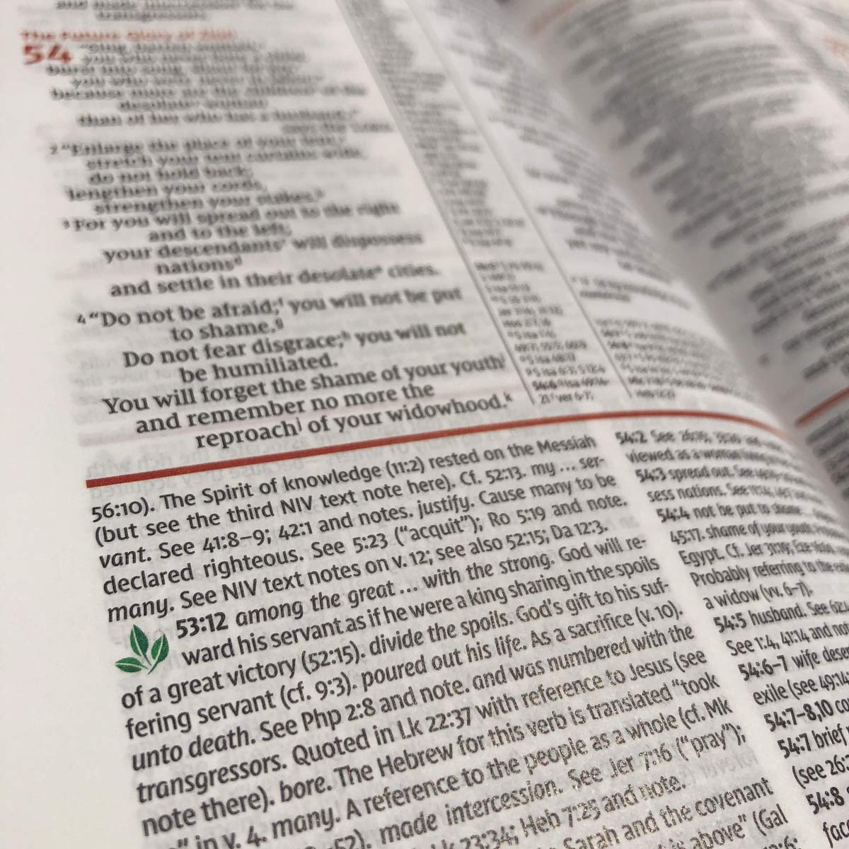 NIV Study Bible, Fully Revised Edition, Red Letter, Comfort Print