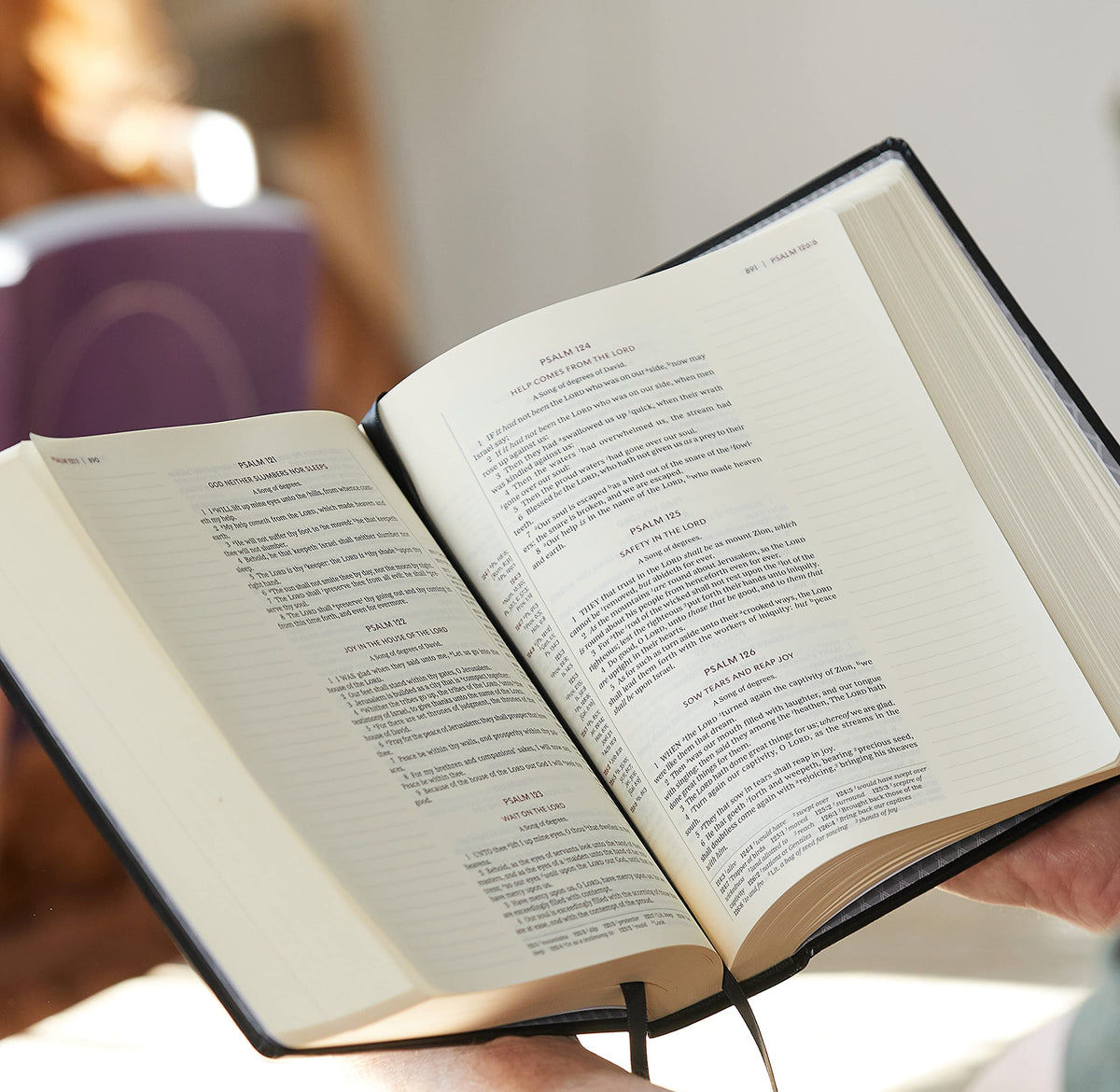 KJV, Journal Reference Edition Bible, Verse Art Cover Collection, Brown Leathersoft, Red Letter, Comfort Print: Let Scripture Explain Scripture. Reflect on What You Learn.