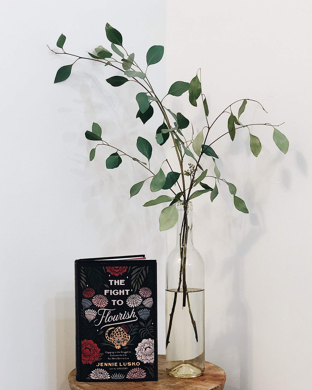 The Fight to Flourish: Engaging in the Struggle to Cultivate the Life You Were Born to Live