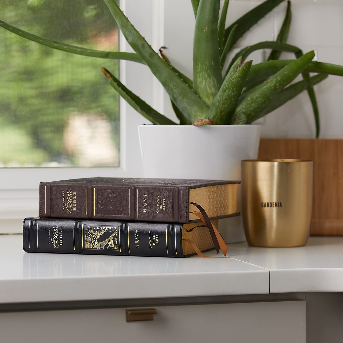 NRSVCE, Illustrated Catholic Bible, Comfort Print: Holy Bible