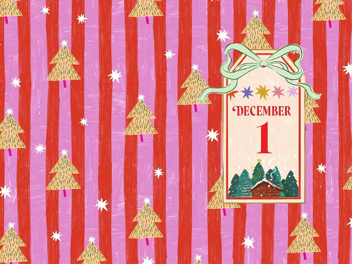 The Secret Santa Setup: Count Down to Christmas with 25 Sealed Chapters