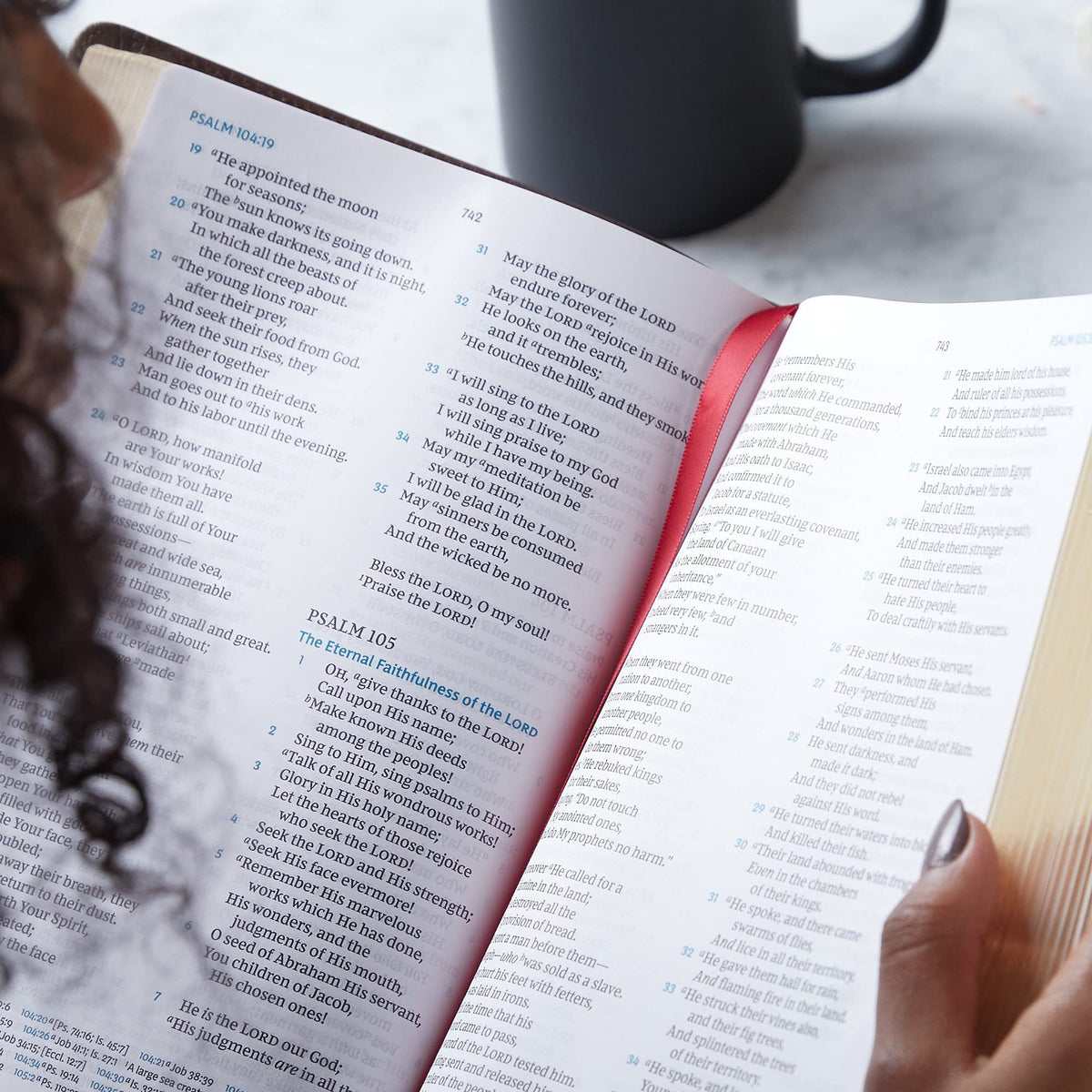 NKJV, Large Print Verse-by-Verse Reference Bible, Maclaren Series: Holy Bible, New King James Version