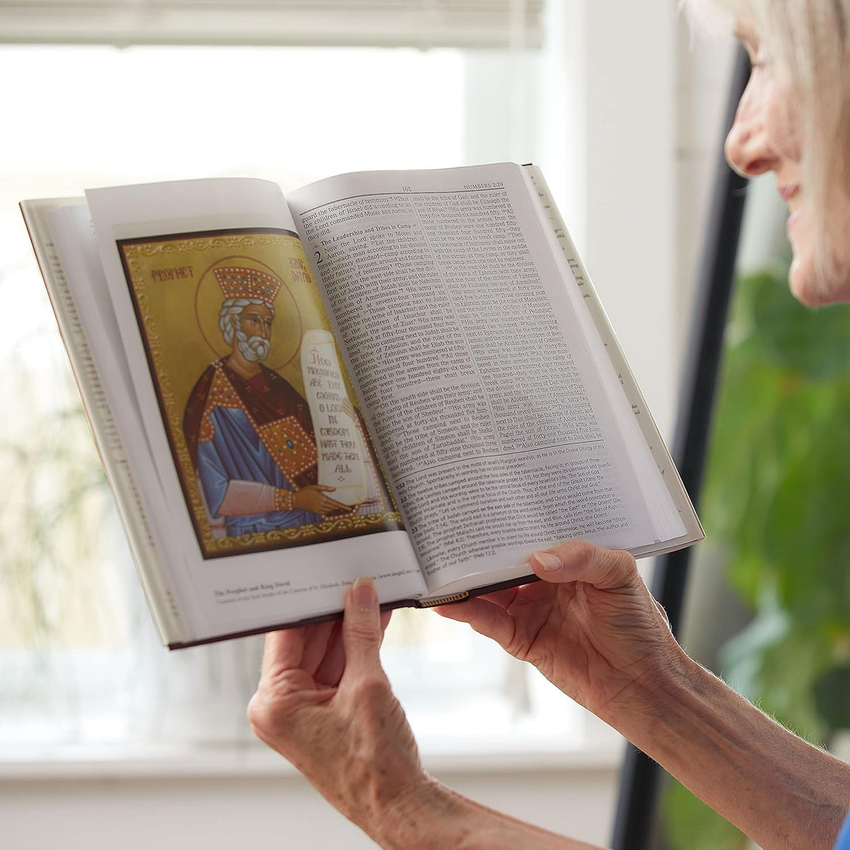 Orthodox Study Bible: Ancient Christianity Speaks to Today's World