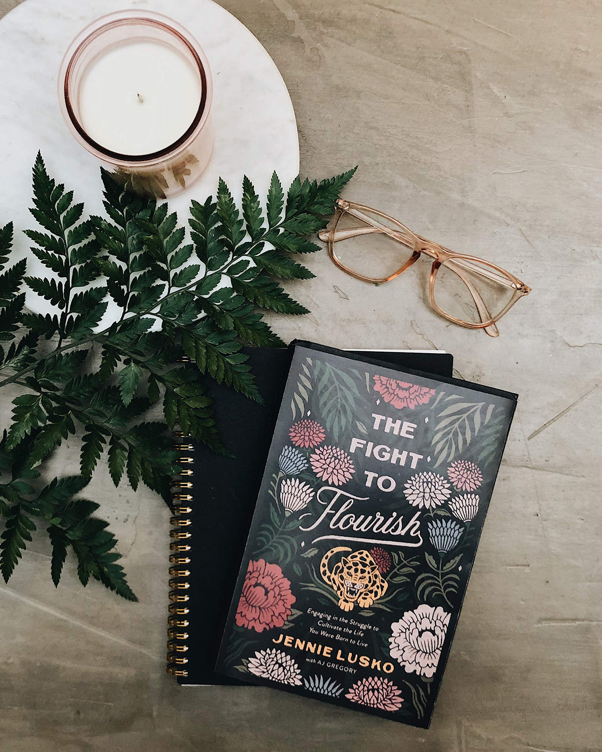 The Fight to Flourish: Engaging in the Struggle to Cultivate the Life You Were Born to Live
