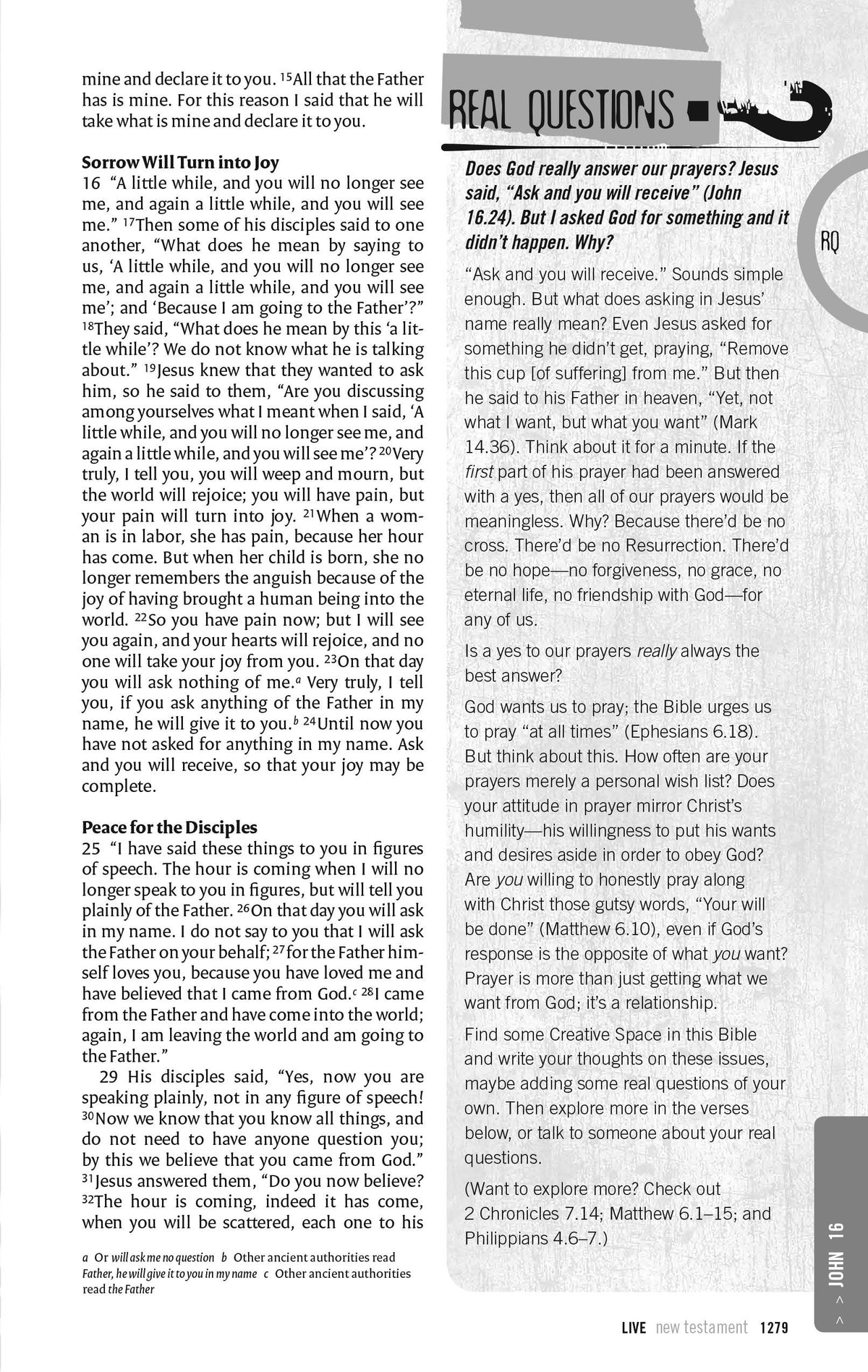 NRSV, LIVE, Catholic Edition, Youth Bible, Paperback: Youth Bible, Catholic Edition