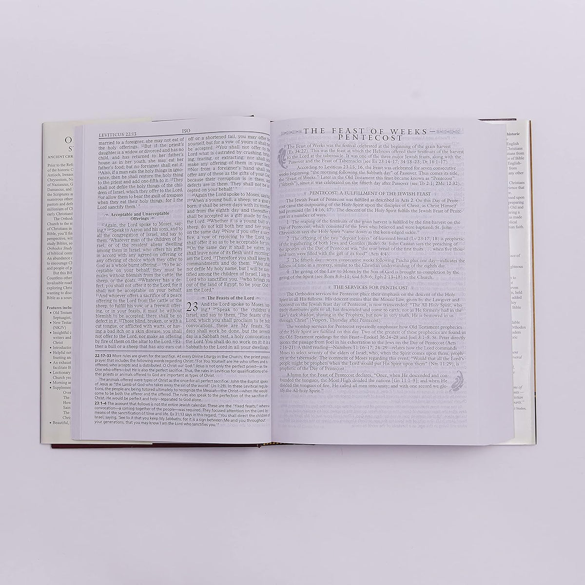 Orthodox Study Bible: Ancient Christianity Speaks to Today's World