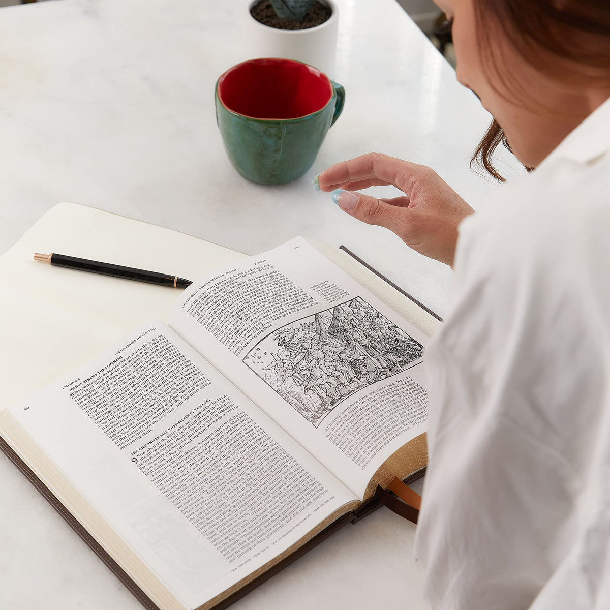 NRSVCE, Illustrated Catholic Bible, Comfort Print: Holy Bible