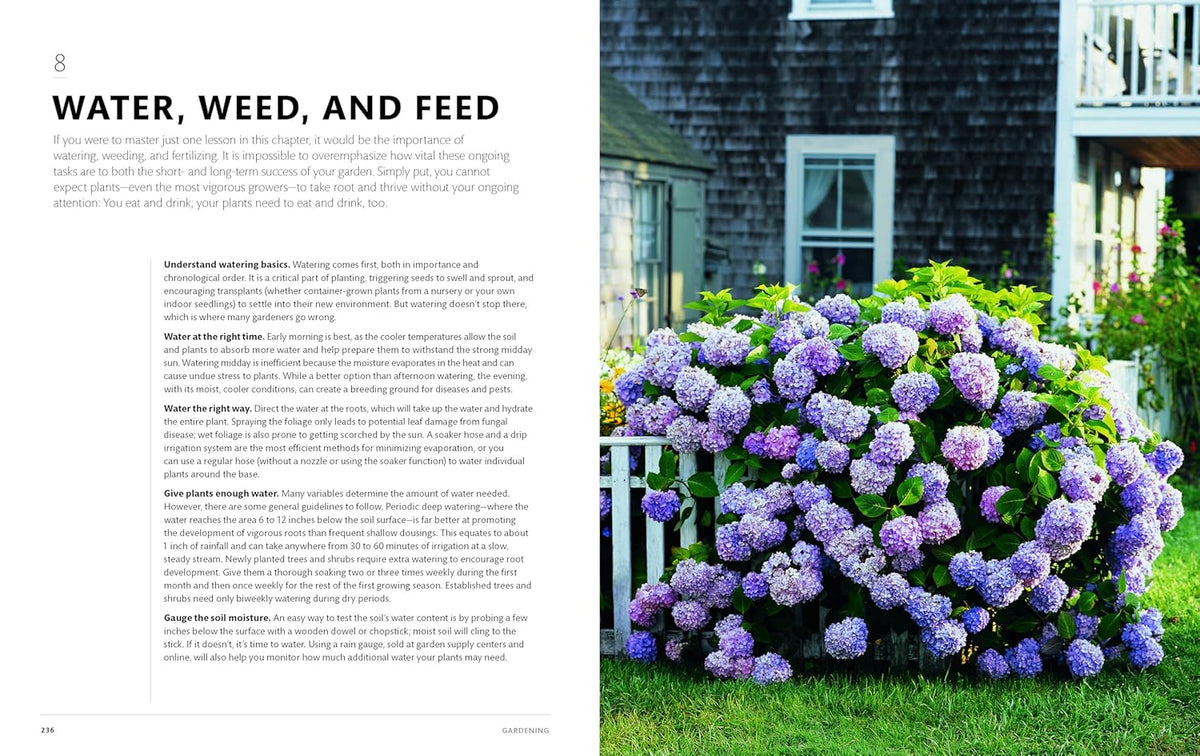 The Martha Way: Essential Principles for Mastering Home and Living