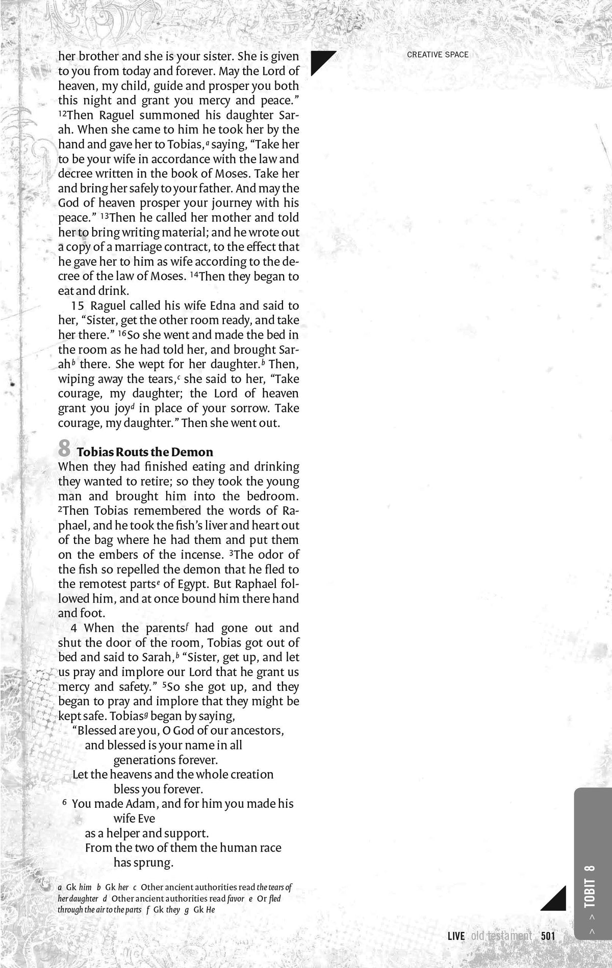 NRSV, LIVE, Catholic Edition, Youth Bible, Paperback: Youth Bible, Catholic Edition