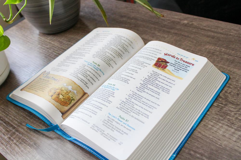 NASB, Adventure Bible, Full Color Interior, Red Letter, 1995 Text, Comfort Print