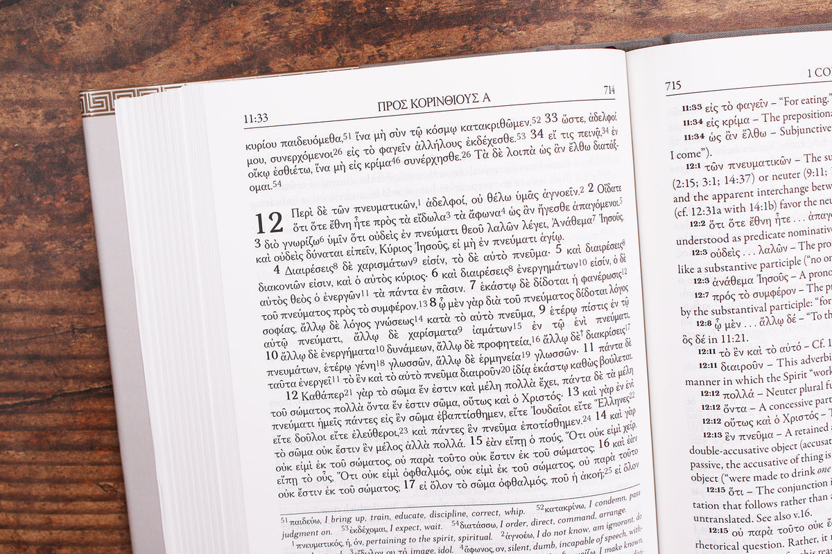 The Greek New Testament Study Bible