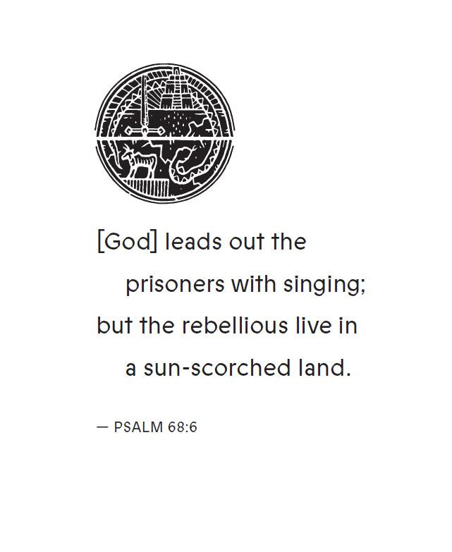 Revolt Bible Study Guide: The Story of God’s Pursuit of Imperfect People