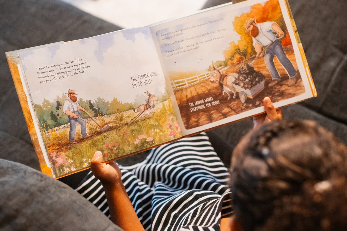 The Good Farmer and the Worried Donkey: A Story About Finding Peace in God's Strength