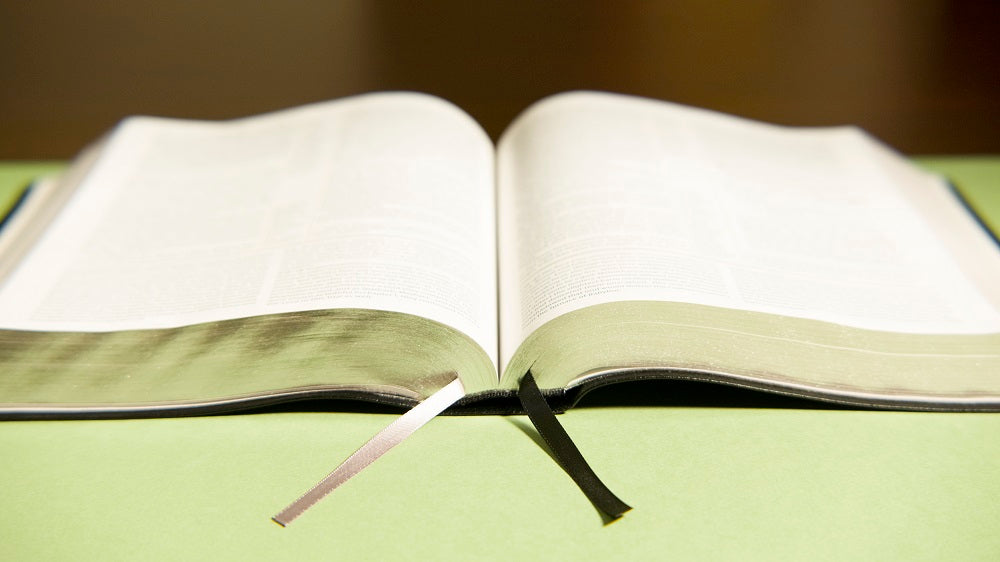 NIV, The Grace and Truth Study Bible, Large Print, Red Letter, Comfort Print