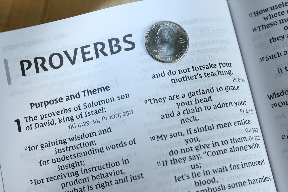 NIV, Reference Bible, Giant Print, Red Letter Edition, Comfort Print