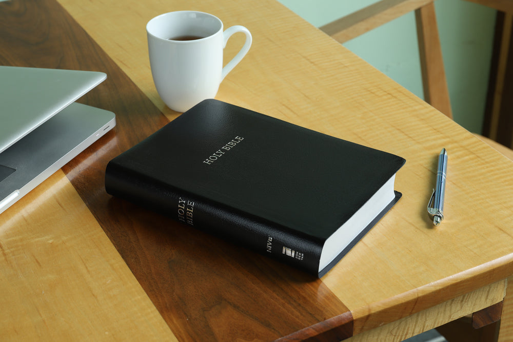 NIV, Reference Bible, Giant Print, Red Letter Edition, Comfort Print
