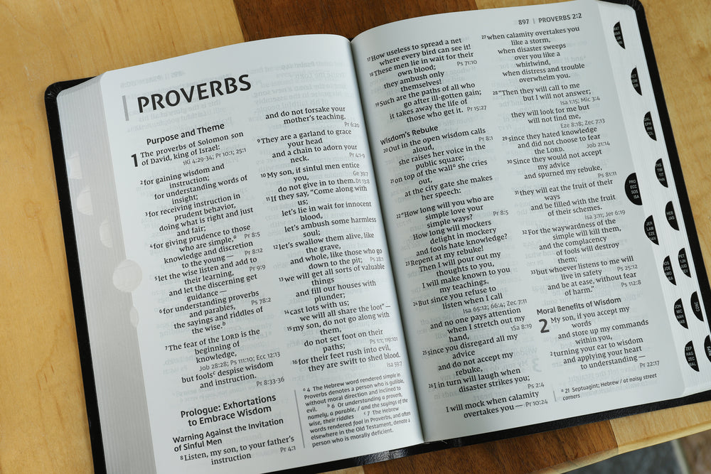 NIV, Reference Bible, Giant Print, Red Letter Edition, Comfort Print