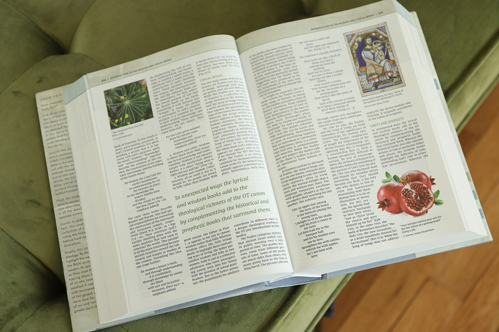 NIV, Biblical Theology Study Bible, Comfort Print: Follow God’s Redemptive Plan as It Unfolds throughout Scripture