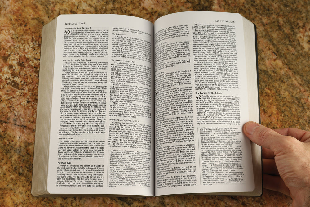 NIV, Holy Bible, Soft Touch Edition, Comfort Print