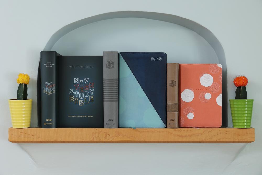 NIV, Teen Study Bible, Comfort Print