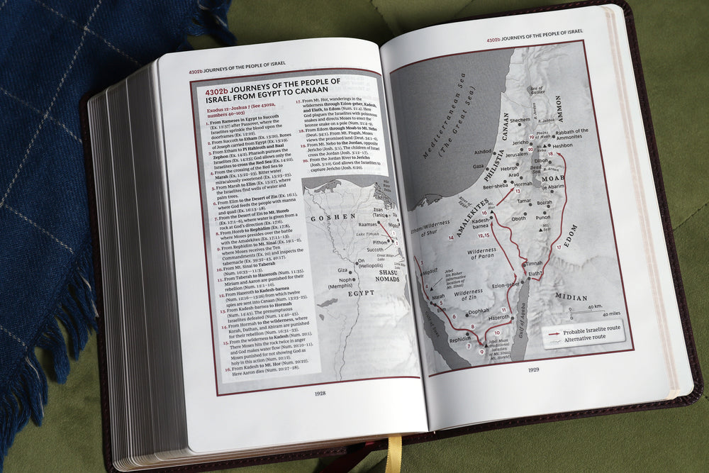 KJV, Thompson Chain-Reference Bible, Handy Size, Red Letter, Comfort Print