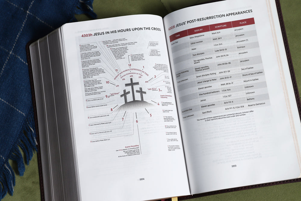 KJV, Thompson Chain-Reference Bible, Handy Size, Red Letter, Comfort Print