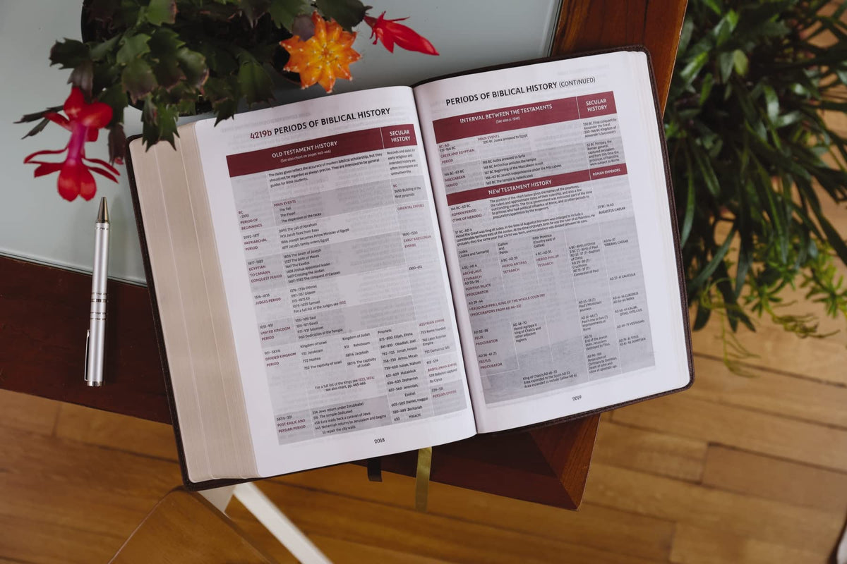 NKJV, Thompson Chain-Reference Bible, Large Print, Red Letter, Comfort Print