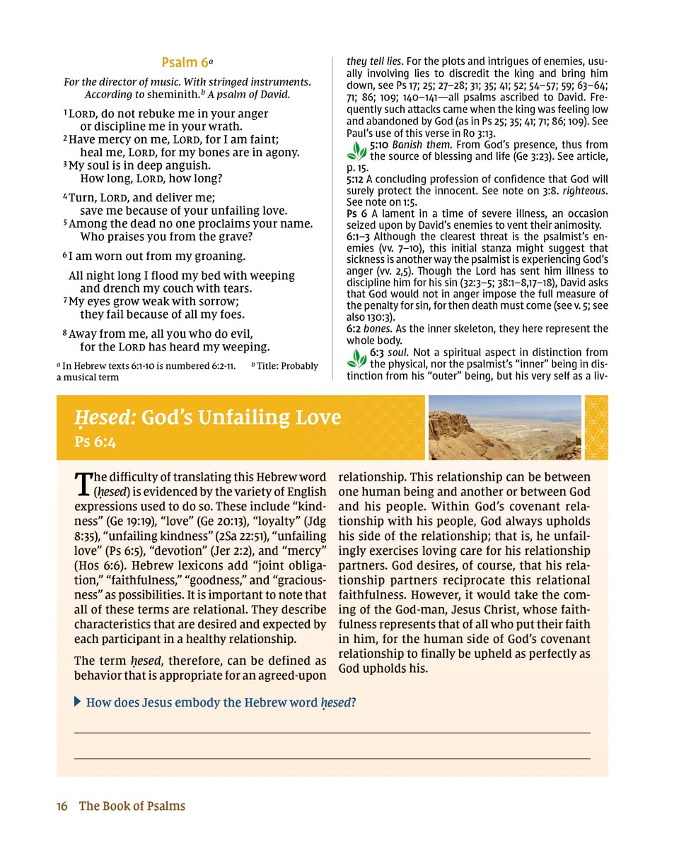 NIV Study Bible Essential Guide to the Psalms, Paperback, Red Letter, Comfort Print