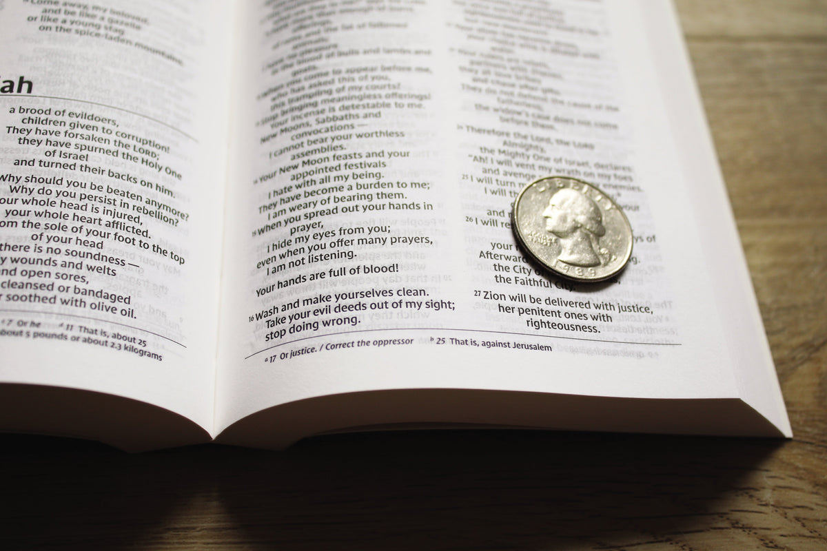 NIV, Holy Bible, Compact, Comfort Print