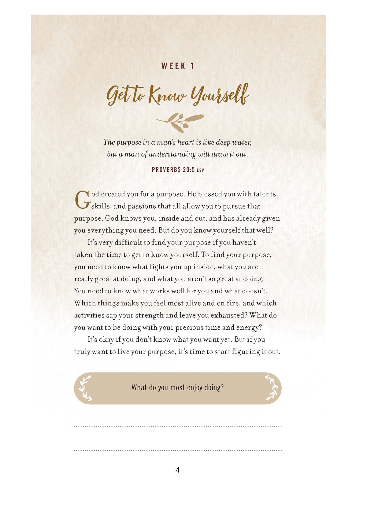 The Weekly Purpose Project: A Challenge to Journal, Reflect, and Pursue Purpose