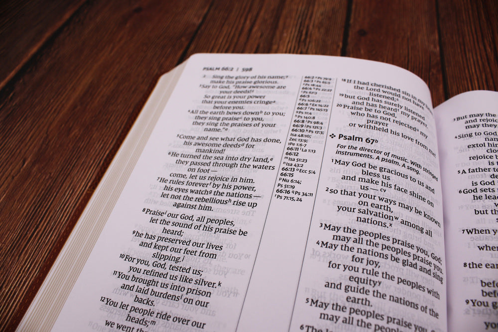 NIV, Thinline Reference Bible, Large Print, Red Letter, Comfort Print