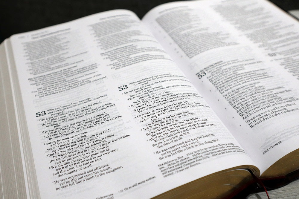 NIV, NKJV, NLT, The Message, (Contemporary Comparative) Parallel Bible