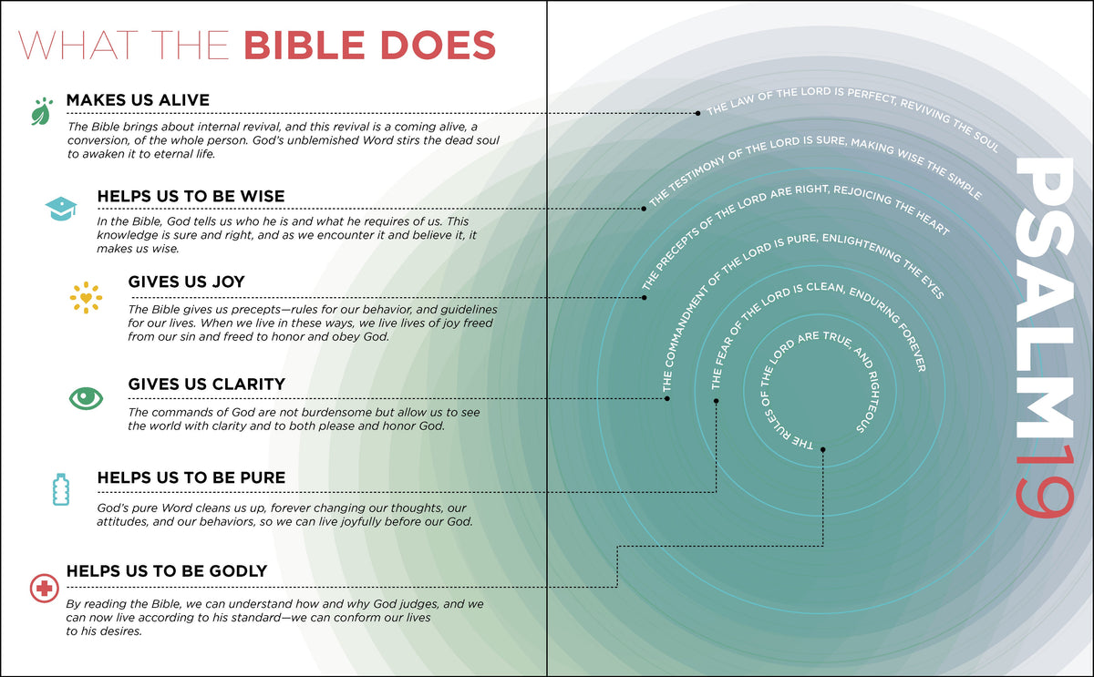 Visual Theology: Seeing and Understanding the Truth About God