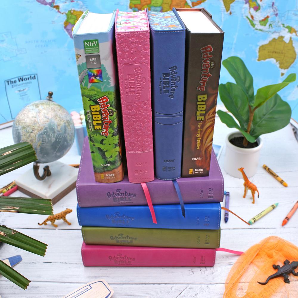 NIrV, Adventure Bible for Early Readers, Full Color Interior